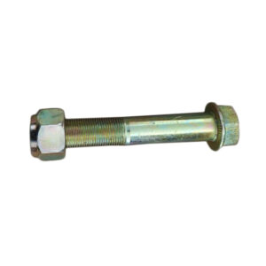 Straight Arm Bolts M20*120