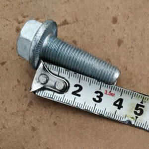 Pillow Mounting Bolts